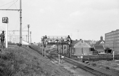 RB-0145 -  1976.05.28 - Lokeren - Roger BASTAENS.jpg